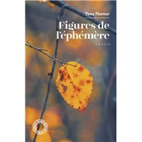 Figures de l'éphémère