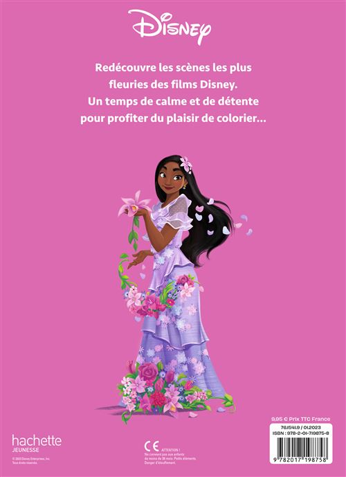 DISNEY - Grand Bloc Disney - Summer of Love - Christophe Alexis Perez -  broché, Livre tous les livres à la Fnac
