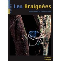 LES ARAIGNEES
