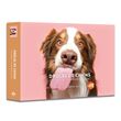 Agenda - Calendrier Drôles de chiens 2026