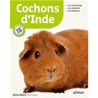 Comprimes vitamine c, cochon d'inde 100 cps - Hygiène et santé petits  animaux à la Fnac