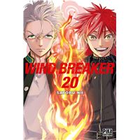 Wind Breaker T20