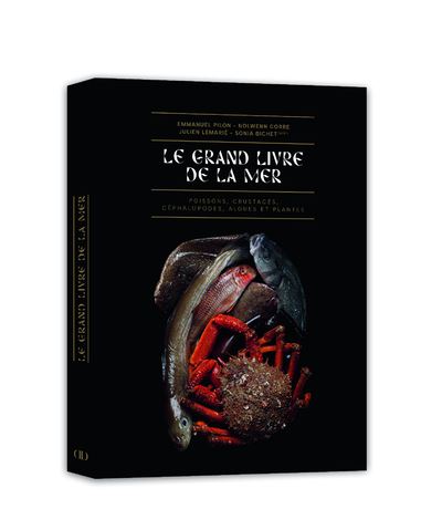 Le Grand Livre de la Mer - Sonia Bichet - Alain Ducasse Eds - relié - Beau livre