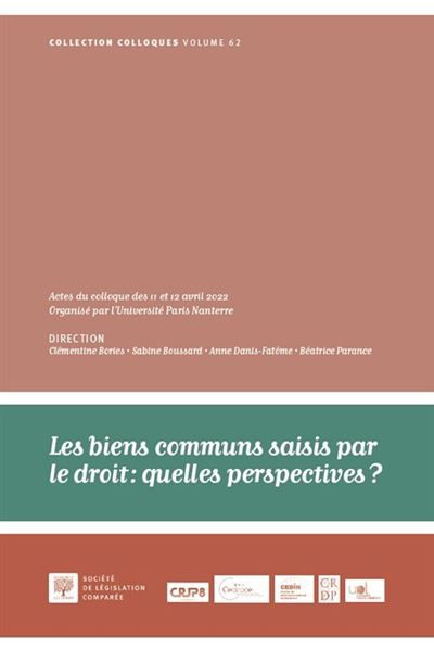 Les biens communs saisis par le droit  quelles perspectives 