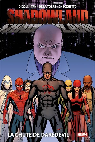 Shadowland : La chute de Daredevil (Nouvelle édition)