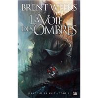 L'Ange de la Nuit, T1 : La Voie des ombres