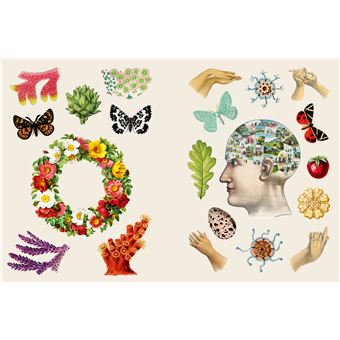 Lot de 720 autocollants décoratifs transparents vintage PET - Jolis autocollants floraux rétro