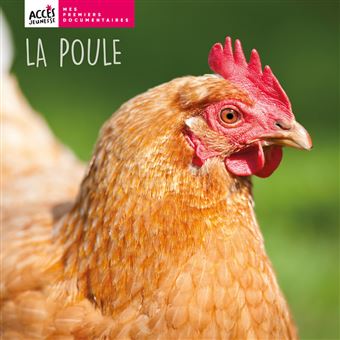 La poule - 1