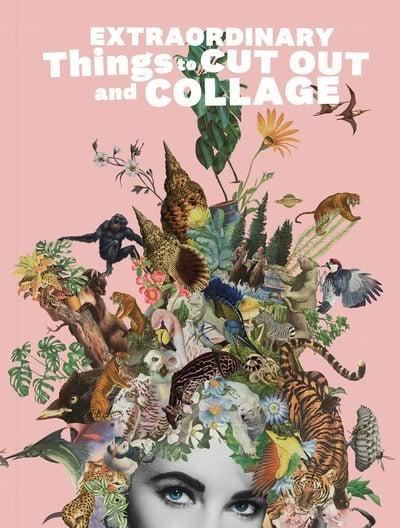 Extraordinary Things to Cut Out and Collage /anglais