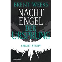 Nachtengel - Der Ursprung