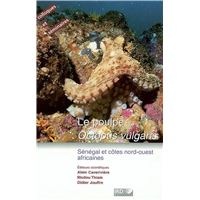 Le poulpe. Ooctopus vulgaris.