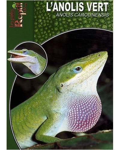 L'anolis vert - Anolis Carolinensis - broché - Collectif - Achat Livre ...