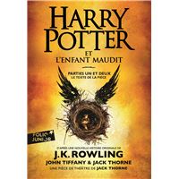 Harry Potter - Magie noire: Coffret magique du Monde des Sorciers -  Imagin'ères