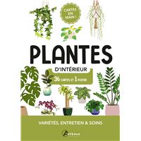 Plantes d'intérieur