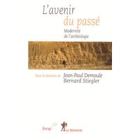 L'avenir du passé modernité de l'archéologie