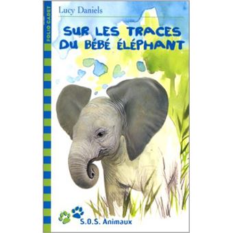 Bébé Éléphant : tout savoir sur l'Éléphanteau