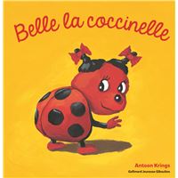 Belle la coccinelle - Les Drôles de Petites Bêtes