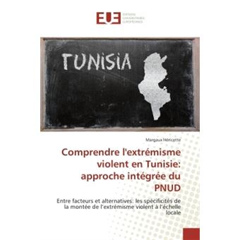 Comprendre l'extrémisme violent en Tunisie: approche intégrée du PNUD - 1