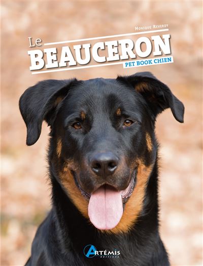 Chien Rottweiler Forum Le Beauceron Chien