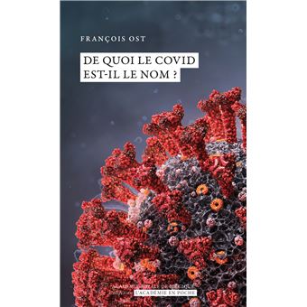 De quoi le Covid est-il le nom ? - 1