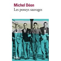 Les poneys sauvages