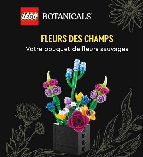 Huginn & Muninn Lego Botanicals, Fleurs Des Champs - Votre Bouquet De Fleurs Sauvages - Collectif - Livre-Jeu