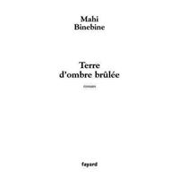 Terre d'ombre brûlée