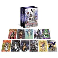 The Ghost in the Shell Perfect edition - Coffret