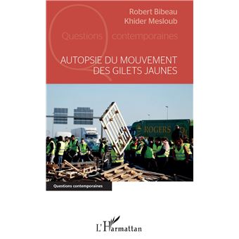 Autopsie du mouvement des gilets jaunes - 1