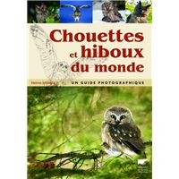Chouettes et hiboux du monde