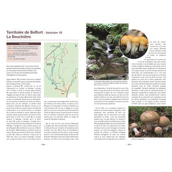 Guide des 60 meilleurs champignons comestibles - broché - Guillaume  Eyssartier, Pierre Roux, Livre tous les livres à la Fnac