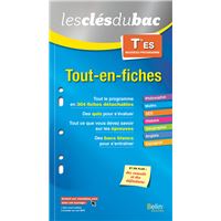 Tout-en-fiches - Terminale ES