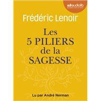 Les 5 Piliers de la sagesse : petit manuel de résistance intérieure