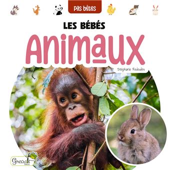 LES BEBES ANIMAUX - 1