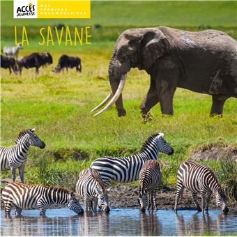 La savane - 1