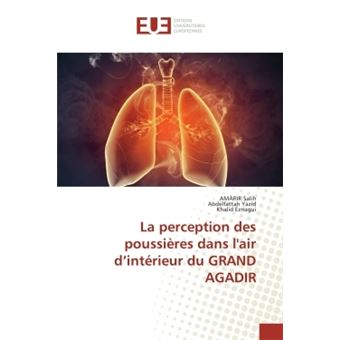 La perception des poussieres dans l'air d'interieur du GRAND AGADIR - 1