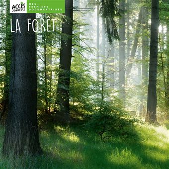 La forêt - 1