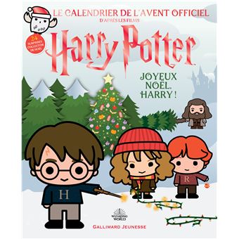 Noël : 30 idées déco magiques pour les fans d'Harry Potter