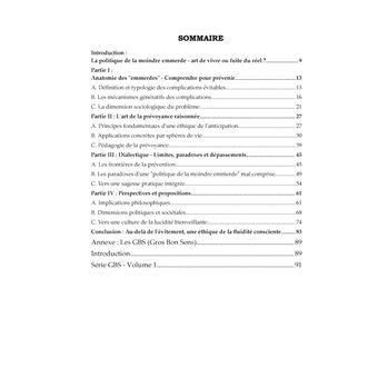 La politique de la moindre emmerde