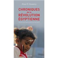 Chroniques de la révolution égyptienne