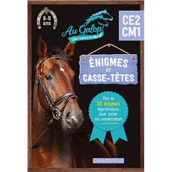 Au Galop, Une Année A Cheval - Enigmes et Casse-têtes Au Galop du CE2 au CM1 - 1