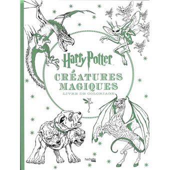 Harry Potter - Harry Potter - Le livre d'activités de Poudlard - Collectif  - broché, Livre tous les livres à la Fnac