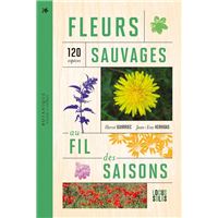 Fleurs sauvages au fil des saisons