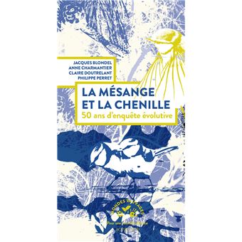 Livre Les Contes De Noel De Pierre Lapin GALLIMARD JEUNESSE