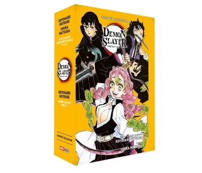 Coffret Demon Slayer T12 + Roman jeunesse T05