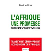 Les entreprises informelles de l'Afrique de l'ouest francophone