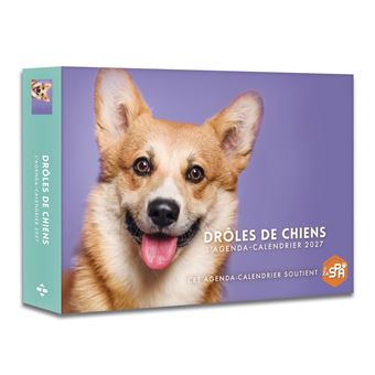 Drôles de chiens - Agenda - Calendrier - Semainier 2027 - 1