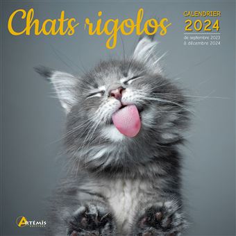 Calendrier Le chat et ses amis 2024 - broché - Collectif, Livre tous les  livres à la Fnac