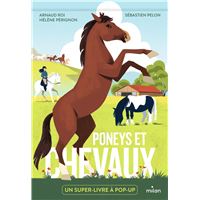 Poneys et chevaux
