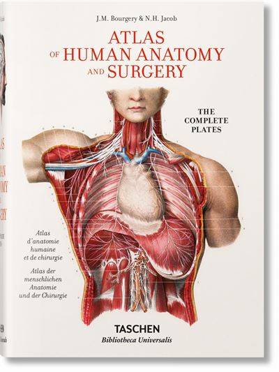 J.M. Bourgery, N.H. Jacob, Jean-Marie Le Minor, Henri Sick - Atlas of Human Anatomy and Surgery, Volume 3: Nevrologia